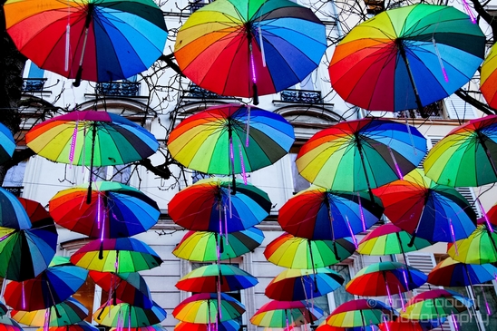 Miscellaneous Photography by Amir Darzi