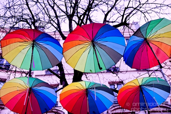 Miscellaneous Photography by Amir Darzi