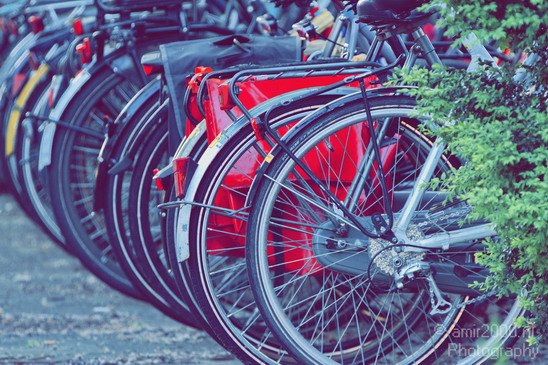 Wheels_Bicycle_city_of_bikes_Amsterdam_Netherlands_Miscellaneous_Photography_001_Canon_EOS_7D.JPG
