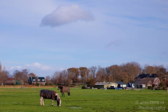 Amsteldijk_automn_colors_fall_herfst_in_Amsterdam_nature_Netherlands_Landscape_Photography_013_Canon_EOS_5D_Mark_IV.JPG