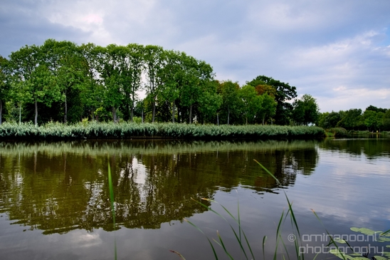 Amsteldijk_summer_colors_in_Amsterdam_nature_Netherlands_Landscape_Photography_001_Canon_EOS_5D_Mark_IV.JPG