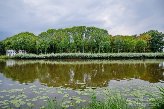 Amsteldijk_summer_colors_in_Amsterdam_nature_Netherlands_Landscape_Photography_002_Canon_EOS_5D_Mark_IV.JPG