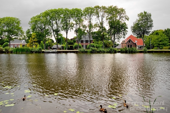 Amsteldijk_summer_colors_in_Amsterdam_nature_Netherlands_Landscape_Photography_004_Canon_EOS_5D_Mark_IV.JPG