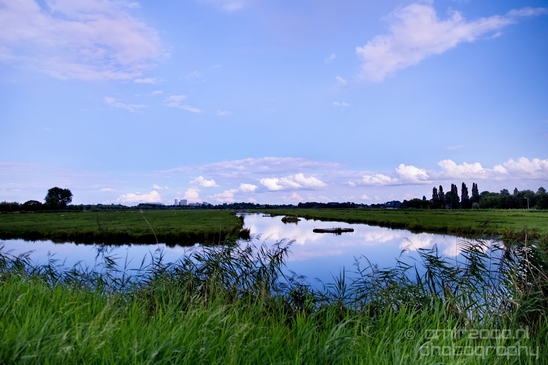 Amsteldijk_summer_colors_in_Amsterdam_nature_Netherlands_Landscape_Photography_007_Canon_EOS_5D_Mark_IV.JPG