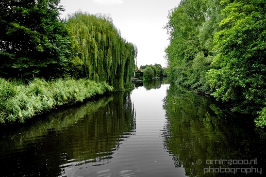 Amsteldijk_summer_colors_in_Amsterdam_nature_Netherlands_Landscape_Photography_008_Canon_EOS_5D_Mark_IV.JPG
