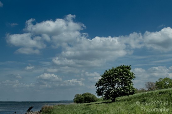 Amsterdam_Muiden_Nature_Netherlands_Landscape_Photography_006_Canon_EOS_7D.JPG