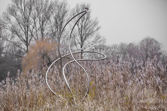 Amsterdam_oosterpark_nature_winter_colors_Netherlands_Landscape_Photography_001_Canon_EOS_5D_Mark_IV.JPG