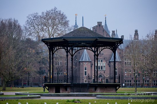 Amsterdam_oosterpark_nature_winter_colors_Netherlands_Landscape_Photography_002_Canon_EOS_5D_Mark_IV.JPG
