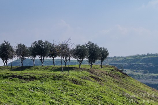 Ariel_Sharon_Park_Tel_Aviv_Israel_Aviv-jaffa_Landscape_Photography_001_Canon_EOS_7D.JPG