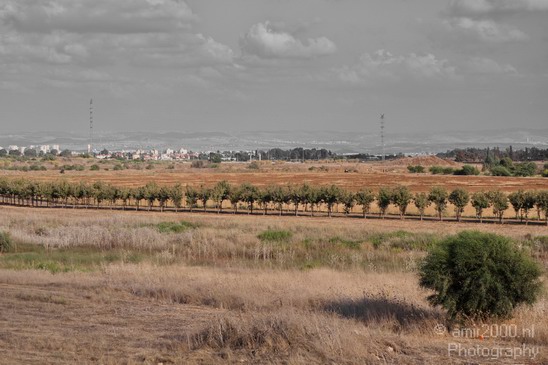 Ariel_Sharon_Park_Tel_Israel_Landscape_Photography_002_Canon_EOS_5D_Mark_IV.JPG