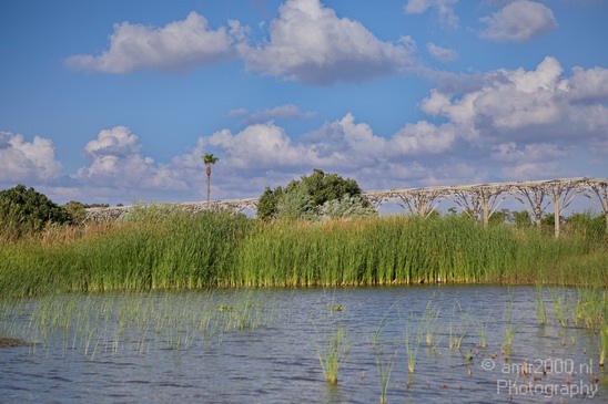 Ariel_Sharon_Park_Tel_Israel_Landscape_Photography_003_Canon_EOS_5D_Mark_IV.JPG