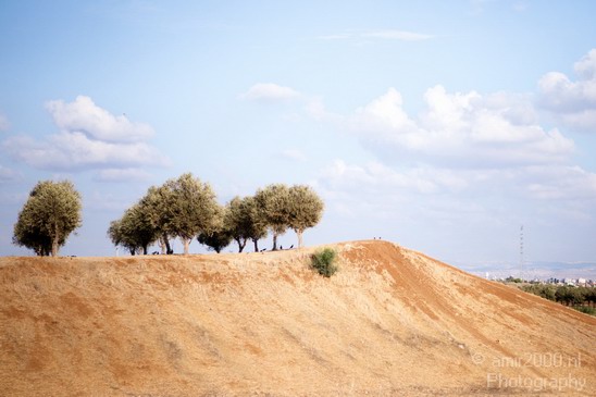 Ariel_Sharon_Park_Tel_Israel_Landscape_Photography_005_Canon_EOS_5D_Mark_IV.JPG