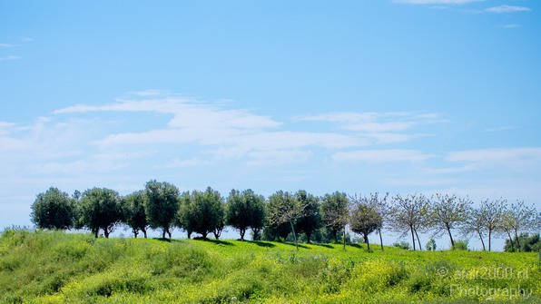Ariel_Sharon_Park_Tel_Israel_Landscape_Photography_006_Canon_EOS_5D_Mark_IV.JPG