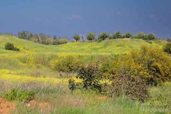 Ariel_Sharon_Park_Tel_Israel_Landscape_Photography_009_Canon_EOS_5D_Mark_IV.JPG