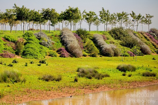 Ariel_Sharon_Park_Tel_Israel_Landscape_Photography_026_Canon_EOS_5D_Mark_IV.JPG