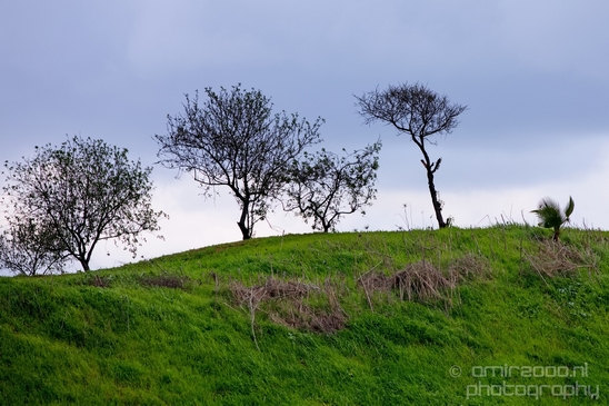 Ariel_Sharon_Park_Tel_Israel_Landscape_Photography_027_Canon_EOS_5D_Mark_IV.JPG