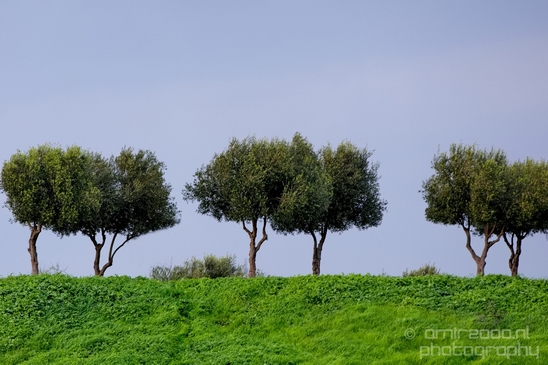 Ariel_Sharon_Park_Tel_Israel_Landscape_Photography_036_Canon_EOS_5D_Mark_IV.JPG