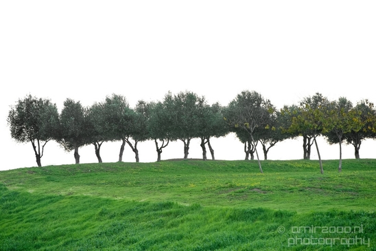 Ariel_Sharon_Park_Tel_Israel_Landscape_Photography_046_Canon_EOS_5D_Mark_IV.JPG