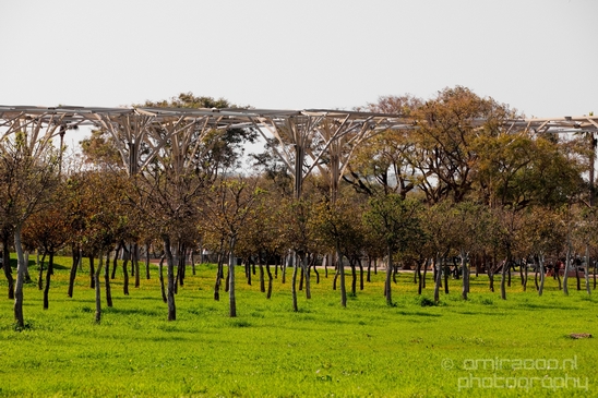 Ariel_Sharon_Park_nature_landscape_Tel_Israel_Photography_002_Canon_EOS_5D_Mark_IV.JPG