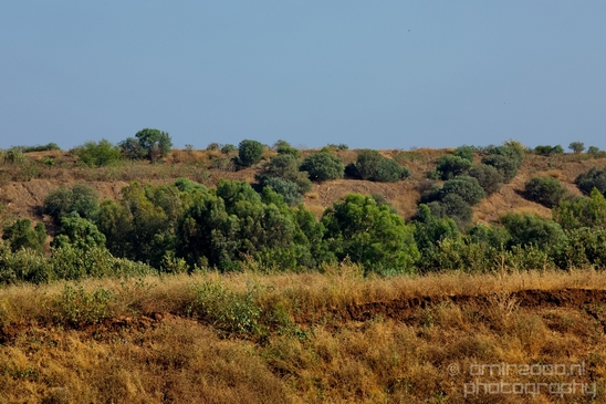 Ariel_Sharon_Park_nature_landscape_Tel_Israel_Photography_020_Canon_EOS_5D_Mark_IV.JPG