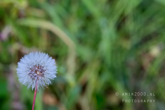 Ariel_Sharon_Park_nature_landscape_Tel_Israel_Photography_025_Canon_EOS_5D_Mark_IV.JPG