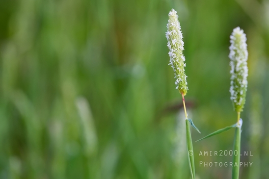 Ariel_Sharon_Park_nature_landscape_Tel_Israel_Photography_030_Canon_EOS_5D_Mark_IV.JPG