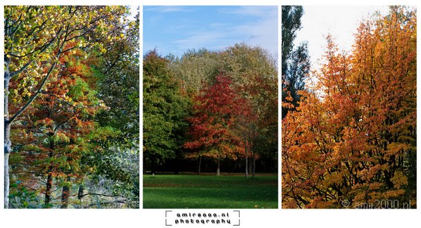 Automn_Colors_Nature_Landscape_Photography_001_Canon_EOS_7D.JPG