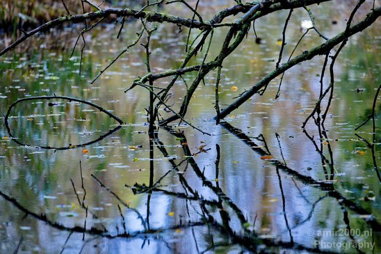 Automn_colors_fall_herfst_in_Amsterdam_nature_Netherlands_Landscape_Photography_007_Canon_EOS_5D_Mark_IV.JPG