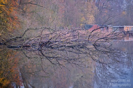 Automn_colors_fall_herfst_in_Amsterdam_nature_Netherlands_Landscape_Photography_014_Canon_EOS_5D_Mark_IV.JPG