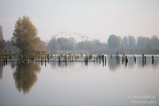 Automn_colors_fall_herfst_in_Amsterdam_nature_Netherlands_Landscape_Photography_017_Canon_EOS_5D_Mark_IV.JPG