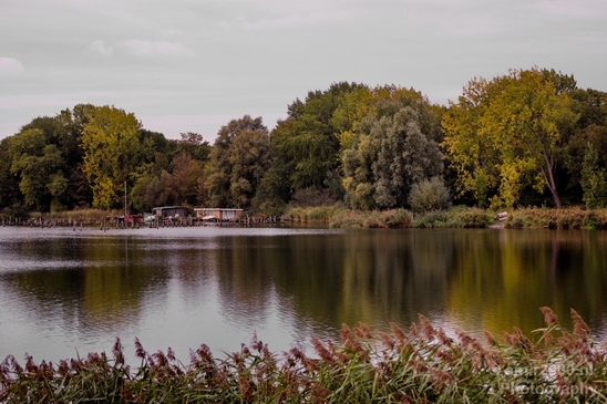 Automn_colors_fall_herfst_in_Amsterdam_nature_Netherlands_Landscape_Photography_024_Canon_EOS_5D_Mark_IV.JPG