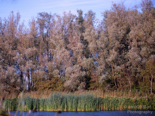 Automn_colors_fall_herfst_in_Amsterdam_nature_Netherlands_Landscape_Photography_027_Canon_EOS_5D_Mark_IV.JPG