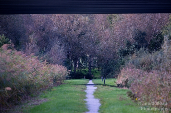 Automn_colors_fall_herfst_in_Amsterdam_nature_Netherlands_Landscape_Photography_035_Canon_EOS_5D_Mark_IV.JPG