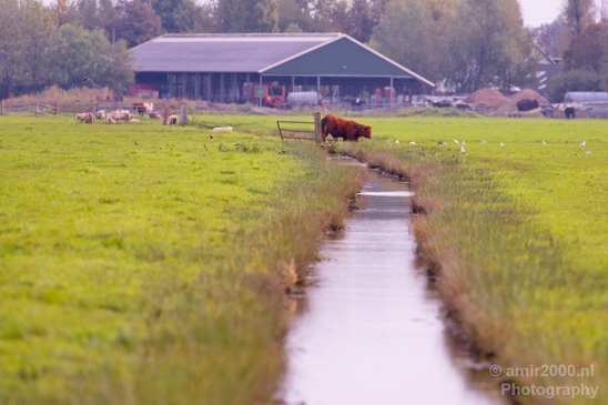 Automn_colors_fall_herfst_in_Amsterdam_nature_Netherlands_Landscape_Photography_037_Canon_EOS_5D_Mark_IV.JPG