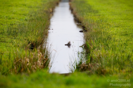 Automn_colors_fall_herfst_in_Amsterdam_nature_Netherlands_Landscape_Photography_038_Canon_EOS_5D_Mark_IV.JPG