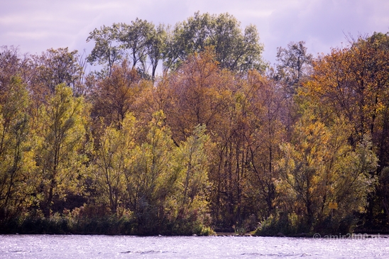 Automn_colors_fall_herfst_in_Amsterdam_nature_Netherlands_Landscape_Photography_045_Canon_EOS_5D_Mark_IV.JPG