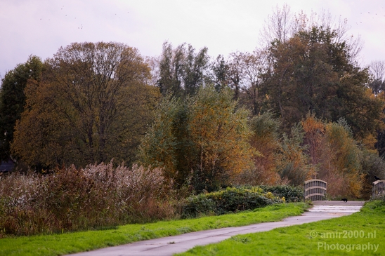 Automn_colors_fall_herfst_in_Amsterdam_nature_Netherlands_Landscape_Photography_050_Canon_EOS_5D_Mark_IV.JPG
