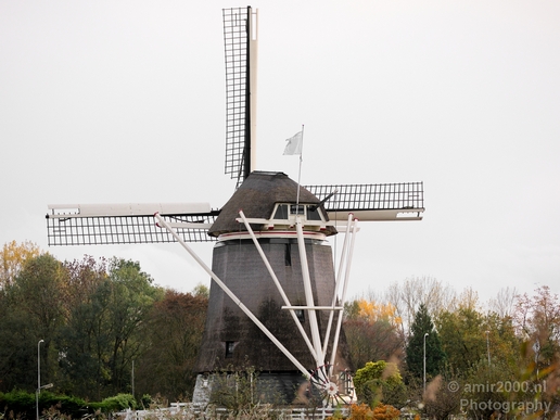 Automn_colors_fall_herfst_in_Amsterdam_nature_Netherlands_Landscape_Photography_051_Canon_EOS_5D_Mark_IV.JPG