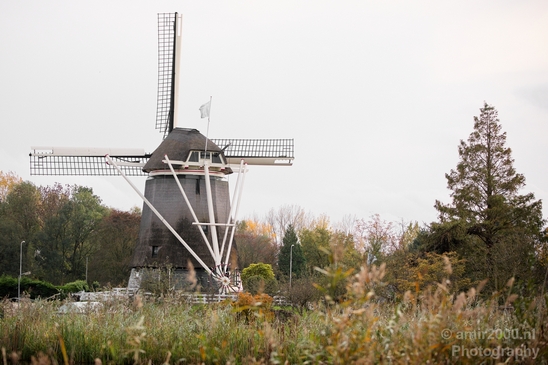 Automn_colors_fall_herfst_in_Amsterdam_nature_Netherlands_Landscape_Photography_052_Canon_EOS_5D_Mark_IV.JPG