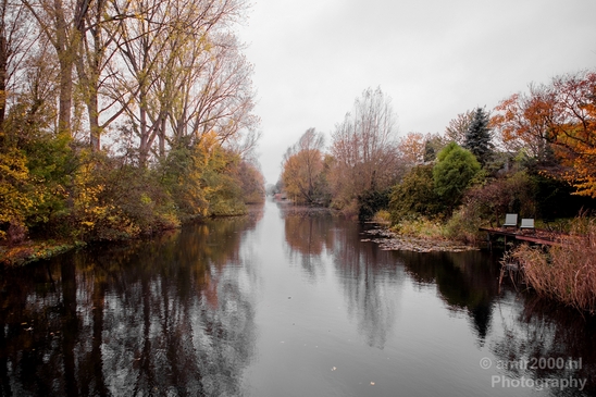 Automn_colors_fall_herfst_in_Amsterdam_nature_Netherlands_Landscape_Photography_061_Canon_EOS_5D_Mark_IV.JPG