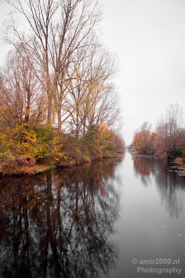 Automn_colors_fall_herfst_in_Amsterdam_nature_Netherlands_Landscape_Photography_062_Canon_EOS_5D_Mark_IV.JPG