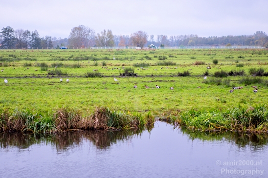 Automn_colors_fall_herfst_in_Amsterdam_nature_Netherlands_Landscape_Photography_065_Canon_EOS_5D_Mark_IV.JPG