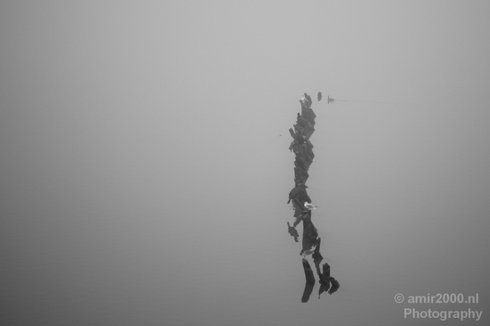 Automn_foggy_day_around_Amsterdam_city_landscape_north_holland_Netherlands_Photography_002_Canon_EOS_5D_Mark_IV.JPG