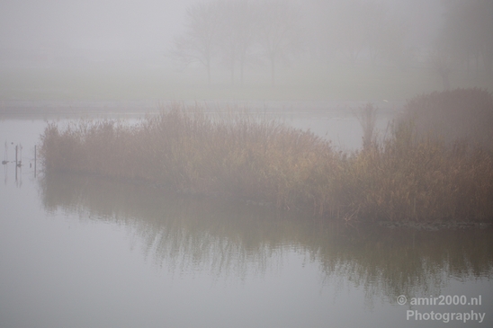 Automn_foggy_day_around_Amsterdam_city_landscape_north_holland_Netherlands_Photography_004_Canon_EOS_5D_Mark_IV.JPG
