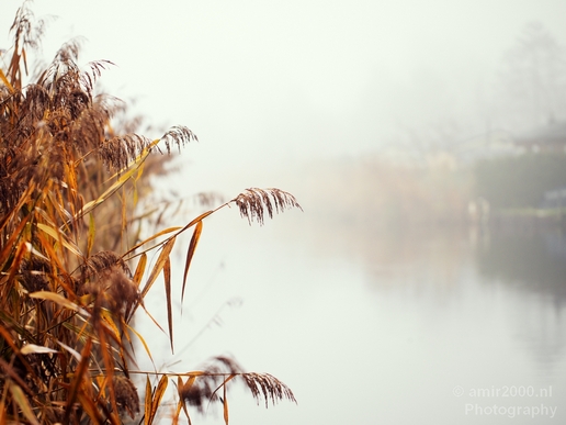 Automn_foggy_day_around_Amsterdam_city_landscape_north_holland_Netherlands_Photography_008_Canon_EOS_5D_Mark_IV.JPG