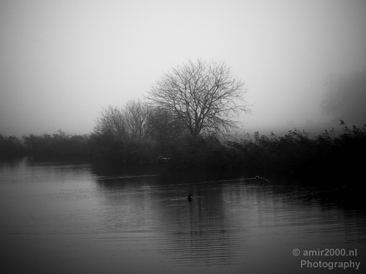 Automn_foggy_day_around_Amsterdam_city_landscape_north_holland_Netherlands_Photography_012_Canon_EOS_5D_Mark_IV.JPG