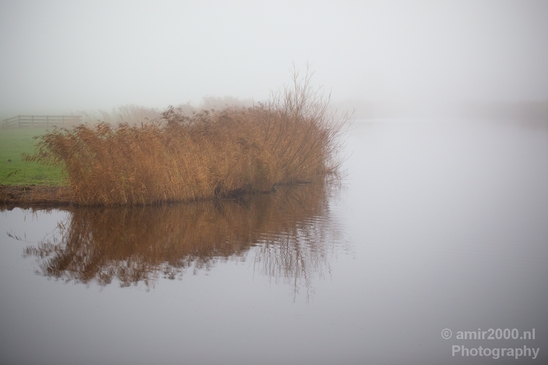 Automn_foggy_day_around_Amsterdam_city_landscape_north_holland_Netherlands_Photography_013_Canon_EOS_5D_Mark_IV.JPG