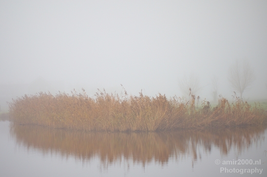 Automn_foggy_day_around_Amsterdam_city_landscape_north_holland_Netherlands_Photography_018_Canon_EOS_5D_Mark_IV.JPG