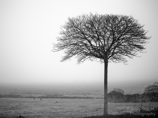 Automn_foggy_day_around_Amsterdam_city_landscape_north_holland_Netherlands_Photography_020_Canon_EOS_5D_Mark_IV.JPG