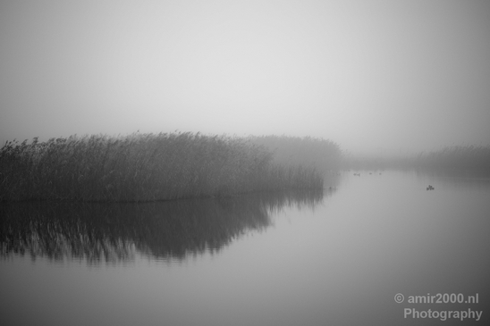 Automn_foggy_day_around_Amsterdam_city_landscape_north_holland_Netherlands_Photography_022_Canon_EOS_5D_Mark_IV.JPG